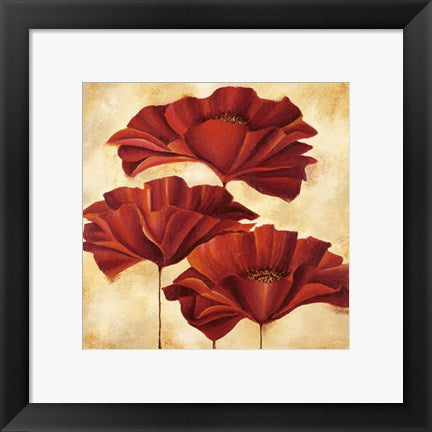 Framed Art Three Poppies II by Nicola Rabbett | 11 3/4 x 11 3/4