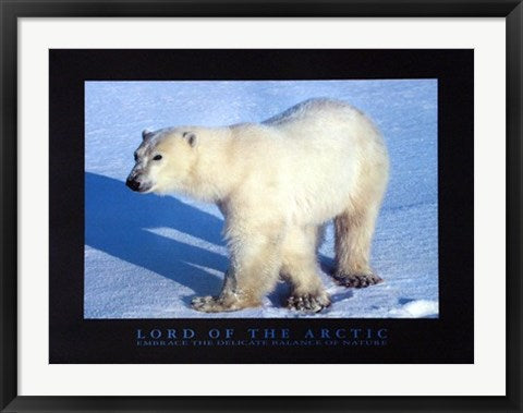 Framed Lord of the Arctic by Lankinen | 23 1/2 x 31 1/2