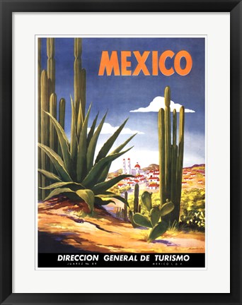 Framed Cacti, Mexico 24 3/8 x 18