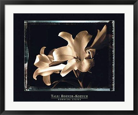 Framed Bermuda Lilies by Talli Rosner-Kozuch | 24 x 30