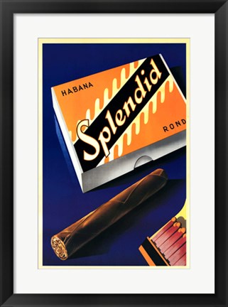 Framed Splendid by Fred Neukomm | 20 1/2 x 14 1/2