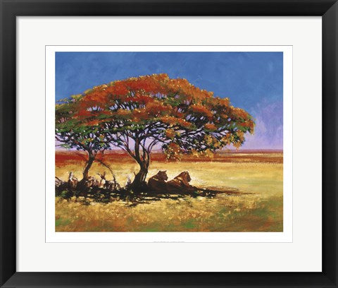 Framed African Shade by Jonathan Sanders | 15.7 x 19.7
