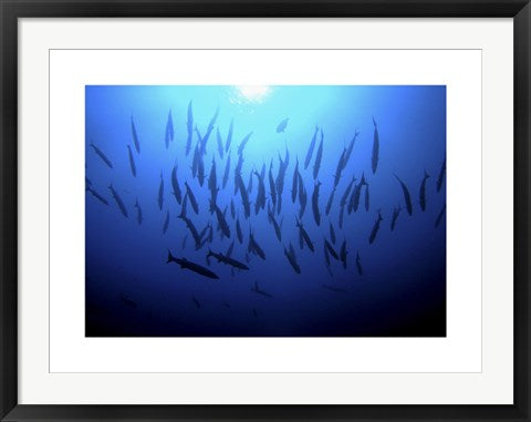 Framed Into the Deep by Rachel Fearnley | 23.6 x 31.5