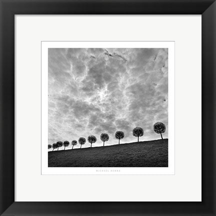 Framed Art Ten and a Half Trees, Peterhof, Russia, 2000 by Michael Kenna