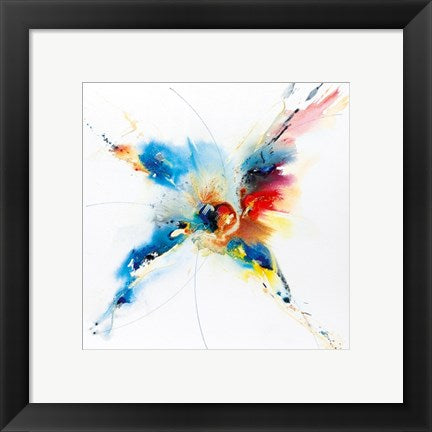 Framed Art Flying Colours I by Hansjorg Furrer | 11 3/4 x 11 3/4