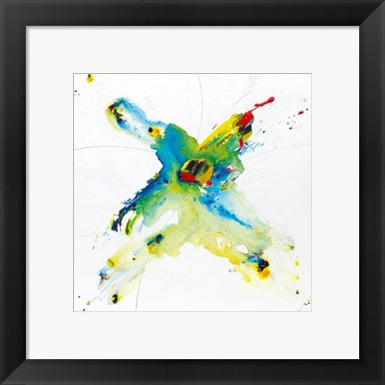 Framed Art Flying Colours II by Hansjorg Furrer | 11 3/4 x 11 3/4