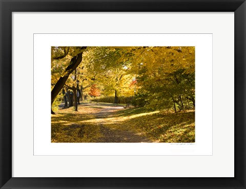 Framed Art Central Park Path by Viktor Balkind | 13 x 19