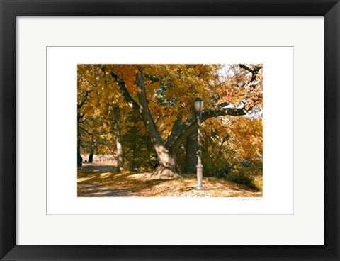 Framed Art Central Park, Lamppost by Viktor Balkind | 13 x 19