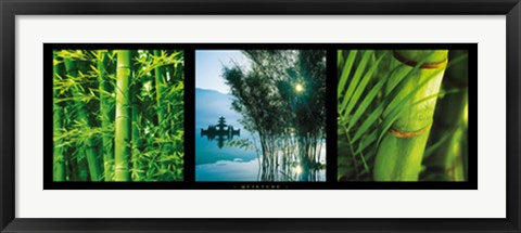 Framed Quietude by Photography Collection | 13 x 37