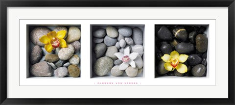 Framed Flowers and Stones by Dave Brullmann | 13 x 37