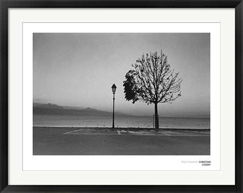 Framed Lurty, Lac Leman by Christian Coigny | 23 1/2 x 31 1/2