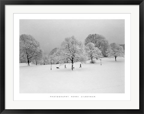 Framed Prospect Park Trees by Henri Silberman | 23 1/2 x 31 1/2