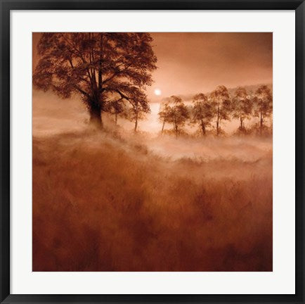 Framed Misty Morning by Alan Parker | 27 1/2 x 27 1/2
