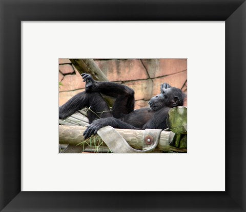 Framed Art Chimp - Just relaxing Framed Art for your Home Wall Decor 18x24 Artwork