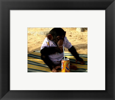 Framed Art Chimp - Time for a drink Wall Decor 18x24 Artwork