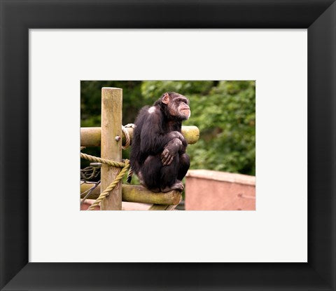 Framed Art Chimp - The revelation Framed Art for your Home Wall Decor 18x24 Artwork