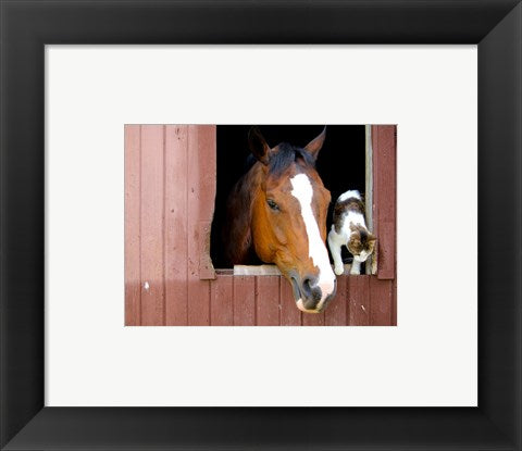 Framed Art Best friends Framed Art for your Home Wall Decor 18x24 Artwork