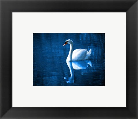 Framed Art Swan Wall Decor 18x24 Artwork