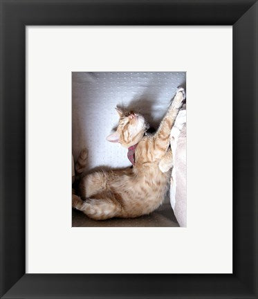 Framed Art Just Stretchin Wall Decor 18x24 Artwork