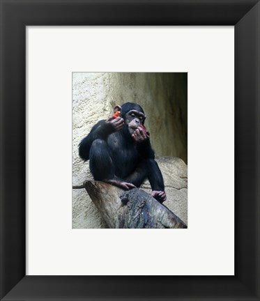 Framed Art Orangutan - Burlap Hat Wall Decor 18x24 Artwork