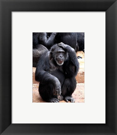 Framed Art Chimp - Let me think it over Wall Decor 18x24 Artwork