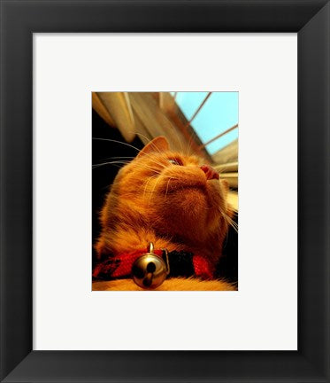 Framed Art Mr. Jingles Wall Decor 18x24 Artwork