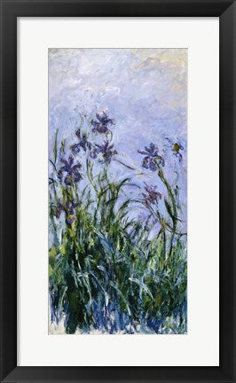 Framed Art Purple Irises, 1914-17 by Claude Monet Wall Decor 18x24 Artwork
