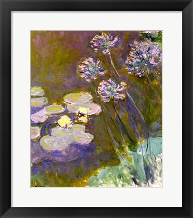 Framed Art Waterlilies and Agapanthus, 1914-17 by Claude Monet Wall Decor 18x24 Artwork
