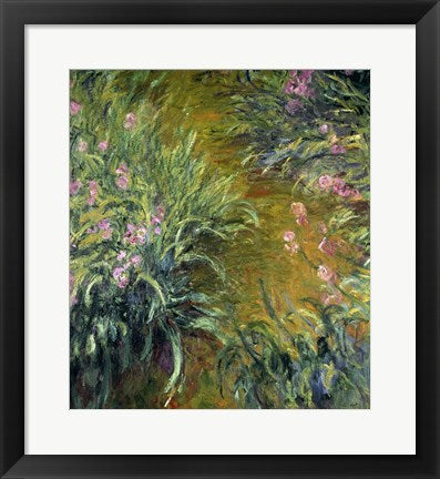 Framed Art Iris (green) by Claude Monet Wall Decor 18x24 Artwork