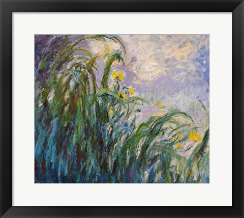 Framed Art The Yellow Iris by Claude Monet Wall Decor 18x24 Artwork