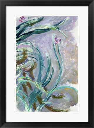 Framed Art Iris (gray) by Claude Monet Wall Decor 18x24 Artwork