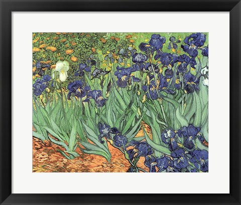 Framed Art Irises, 1889 by Vincent Van Gogh Wall Decor 18x24 Artwork