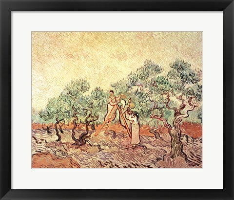 Framed Art The Olive Grove, 1889 by Vincent Van Gogh Wall Decor 18x24 Artwork