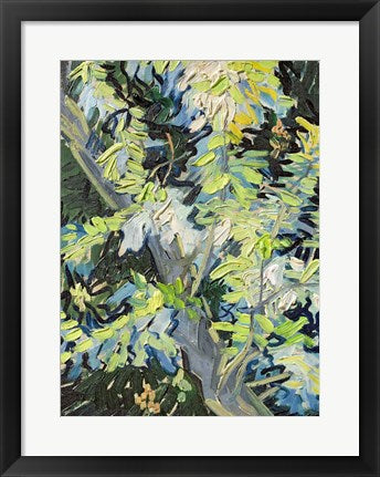 Framed Art Acacia in Flowe by Vincent Van Gogh Wall Decor 18x24 Artwork
