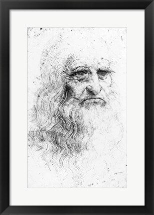 Framed Art Self portrait - Sketch by Leonardo Da Vinci Wall Decor 18x24 Artwork