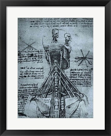 Framed Art Frame Art Bone Structure of the Human Neck and Shoulder by Leonardo Da Vinci Wall Decor 18x24 Artwork