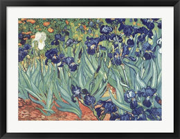 Irises in the Garden by Vincent Van Gogh