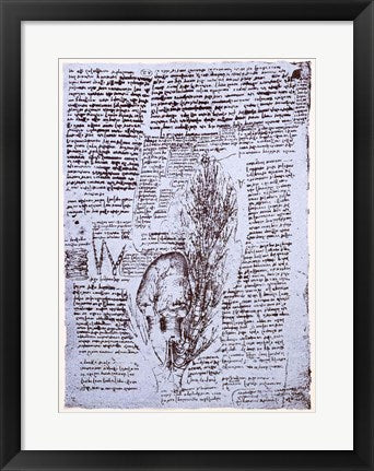 Framed Art The Heart and the bronchial arteries by Leonardo Da Vinci Wall Decor 18x24 Artwork