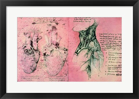 Framed Art Frame Art Anatomical drawing of hearts and blood vessels by Leonardo Da Vinci Wall Decor 18x24 Artwork