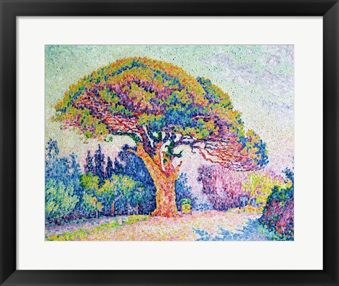 Framed Art The Pine Tree at St. Tropez, 1909 by Paul Signac Wall Decor 18x24 Artwork