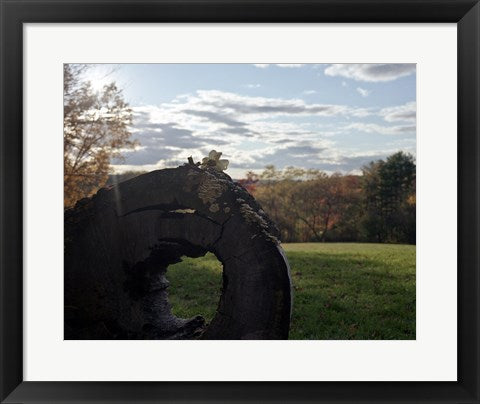 Framed Art The Only Moment We Were Alone by Rob Sturcke Wall Decor 18x24 Artwork