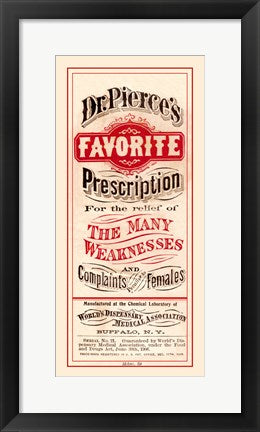 Framed Art Dr. Pierce's Favorite Framed Art for your Home Wall Decor 18x24 Artwork