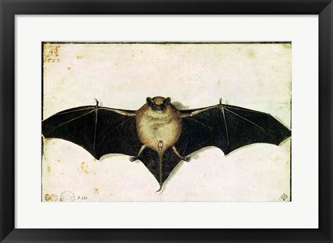 Framed Art Bat, 1522 by Albrecht Durer Wall Decor 18x24 Artwork