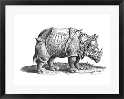 Framed Art Rhinoceros by Albrecht Durer Wall Decor 18x24 Artwork