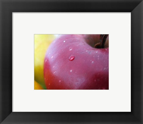 Framed Art Apple Closeup Framed Art for your Home Wall Decor 18x24 Artwork