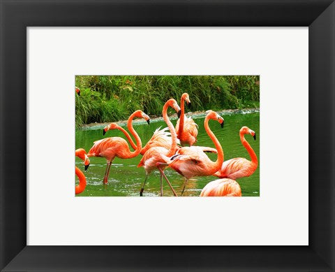 Framed Art Caribbean Flamingo Framed Art for your Home Wall Decor 18x24 Artwork