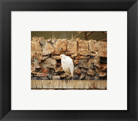 Framed Art Darica Framed Art for your Home Wall Decor 18x24 Artwork