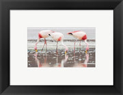 Framed Art Flamingos Searching for Food Wall Decor 18x24 Artwork
