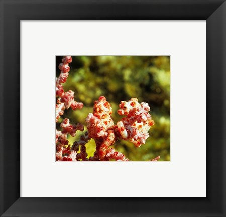 Framed Art Hippobarg Couple Wall Decor 18x24 Artwork
