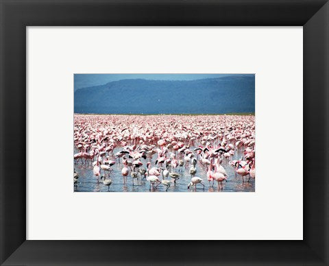 Framed Art Large Number of Flamingos at Lake Nakuru Wall Decor 18x24 Artwork